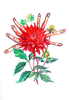 Florals Dahlias of Dali 1972 Limited Edition Print - Salvador Dali Florals Dahlias of Dali 1972 Limited Edition Print - Salvador Dali