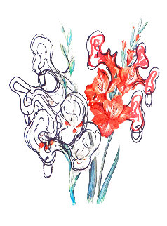 Florals Pirate's Gladioli 1972 Limited Edition Print - Salvador Dali Florals Pirate's Gladioli 1972 Limited Edition Print - Salvador Dali