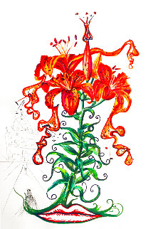 Florals Tiger Lilies 1972 Limited Edition Print - Salvador Dali Florals Tiger Lilies 1972 Limited Edition Print - Salvador Dali