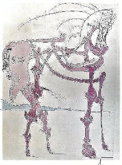 Le Cheval En Rose 1975 Limited Edition Print - Salvador Dali Le Cheval En Rose 1975 Limited Edition Print - Salvador Dali