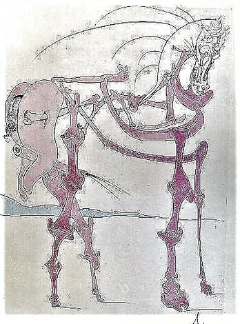 Le Cheval En Rose 1975 HS Limited Edition Print - Salvador Dali