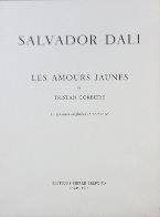 Les Amours Jaunes Complete Suite of 10 Etchings 1974 Limited Edition Print by Salvador Dali - 9