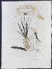 Les Amours Jaunes Complete Suite of 10 Etchings 1974 Limited Edition Print by Salvador Dali - 15
