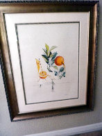 Les Fruits: Pamplemousse E'rotique (Grapefruit) Flordali 1969 (Early) Limited Edition Print by Salvador Dali - 2