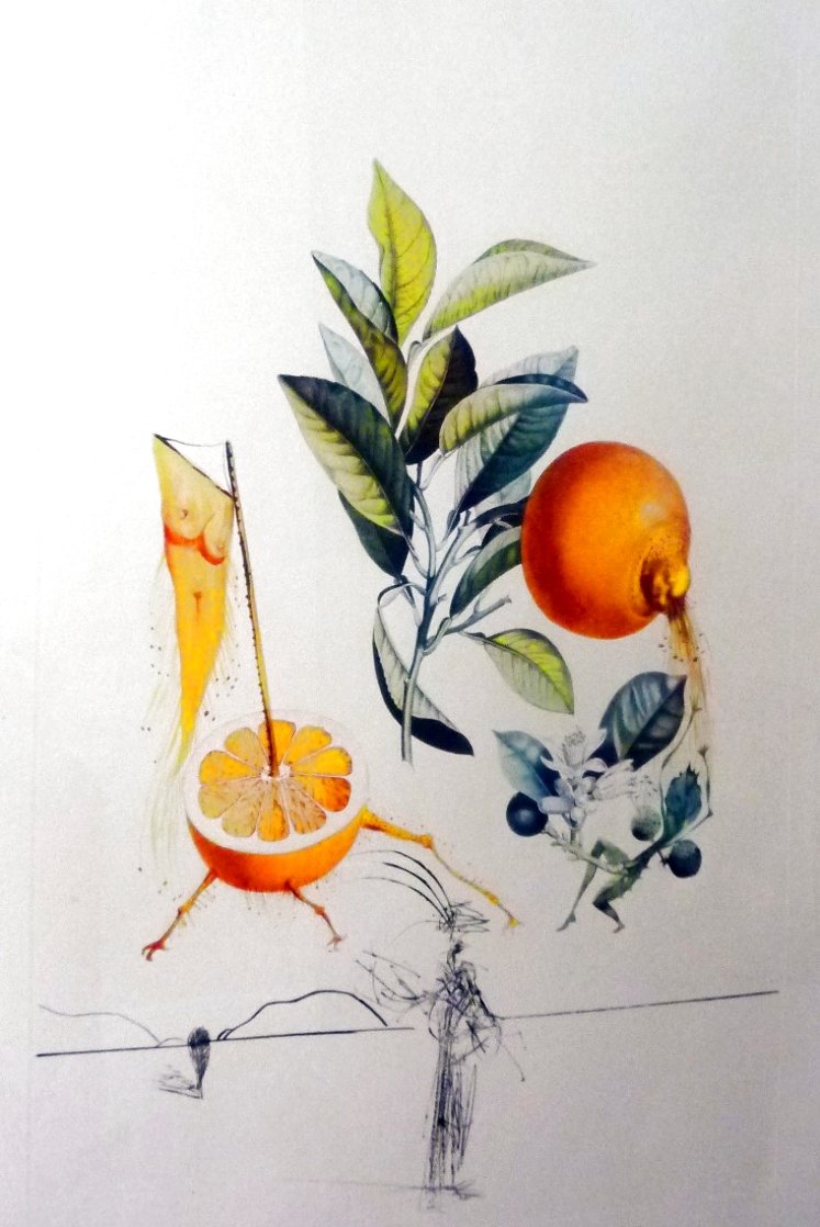Les Fruits: Pamplemousse E'rotique (Grapefruit) Flordali 1969 (Early) Limited Edition Print by Salvador Dali