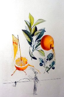 Les Fruits: Pamplemousse E'rotique (Grapefruit) Flordali 1969 (Early) Limited Edition Print - Salvador Dali