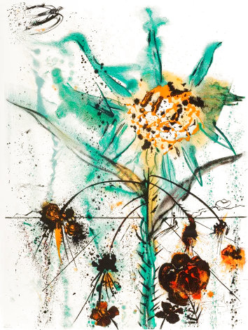 Sun Goddess Flower 1972 Limited Edition Print - Salvador Dali