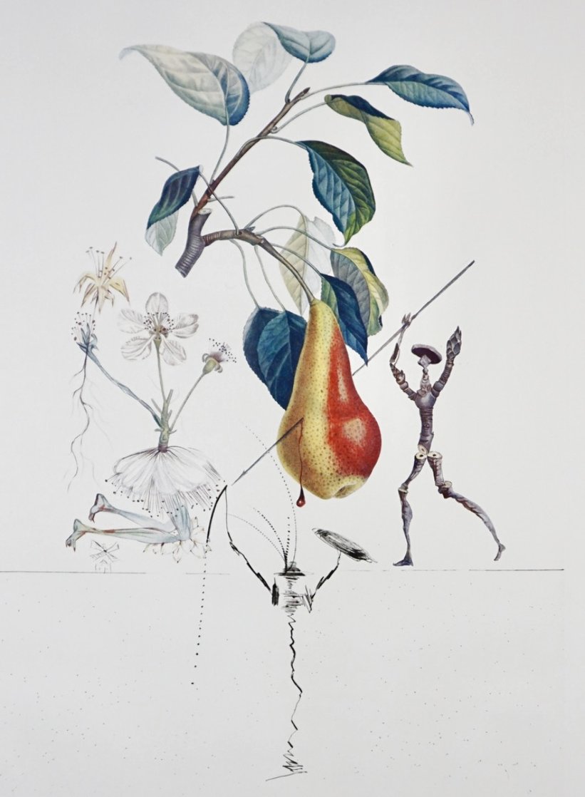 Flordali/Les Fruits Pear 1969 HS Limited Edition Print by Salvador Dali