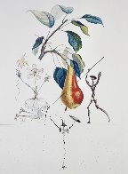 Flordali/Les Fruits Pear 1969 HS Limited Edition Print by Salvador Dali - 0