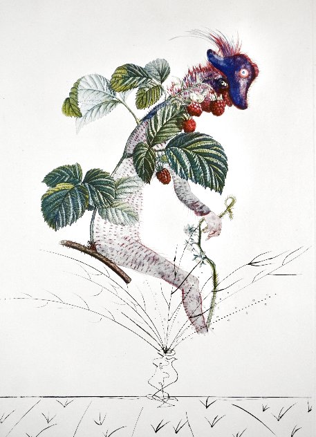 Flordali/Les Fruits Raspberry 1969 HS Limited Edition Print by Salvador Dali