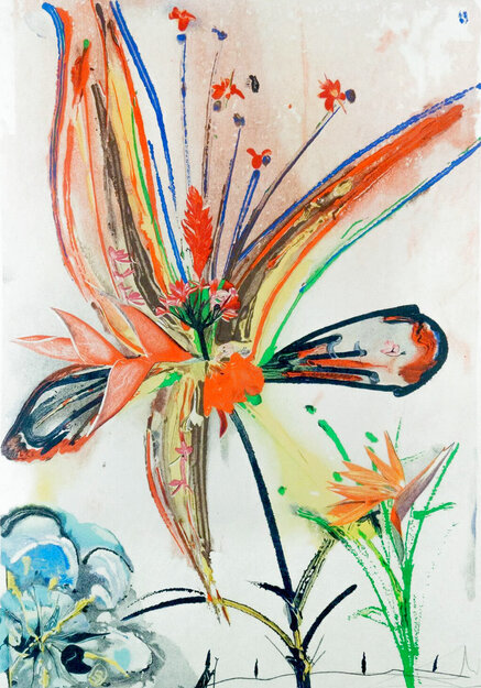 Bird of Paradise 1980 HS Limited Edition Print - Salvador Dali