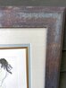 Bareback Rider EA 1972 HS - Framed Embellished Etching Limited Edition Print by Salvador Dali - 7