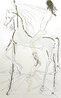 Bareback Rider EA 1972 HS Embellished Limited Edition Print by Salvador Dali - 0 Bareback Rider EA 1972 HS Embellished Limited Edition Print by Salvador Dali - 0