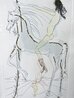 Bareback Rider EA 1972 HS Embellished Limited Edition Print by Salvador Dali - 2 Bareback Rider EA 1972 HS Embellished Limited Edition Print by Salvador Dali - 2