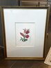 Tulips (+ Lips) Giraffe En Feu 1972 - Framed EA Lithograph Limited Edition Print by Salvador Dali - 1 Tulips (+ Lips) Giraffe En Feu 1972 - Framed EA Lithograph Limited Edition Print by Salvador Dali - 1