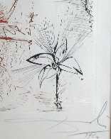 Mythology Narcissus 1963 (early) Limited Edition Print by Salvador Dali - 5 Mythology Narcissus 1963 (early) Limited Edition Print by Salvador Dali - 5