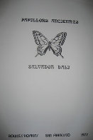Papillons Anciennes Suite of 4 1977 Limited Edition Print by Salvador Dali - 5 Papillons Anciennes Suite of 4 1977 Limited Edition Print by Salvador Dali - 5