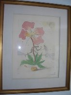 Twelve Tribes: Reuben 1972 Limited Edition Print by Salvador Dali - 2 Twelve Tribes: Reuben 1972 Limited Edition Print by Salvador Dali - 2