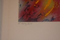 L'aventure Medicale, Suite of 2 1980 Limited Edition Print by Salvador Dali - 6 L'aventure Medicale, Suite of 2 1980 Limited Edition Print by Salvador Dali - 6