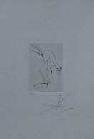 Faust Vignettes La Biche - The Dog 1969 (Early) Limited Edition Print by Salvador Dali - 1 Faust Vignettes La Biche - The Dog 1969 (Early) Limited Edition Print by Salvador Dali - 1