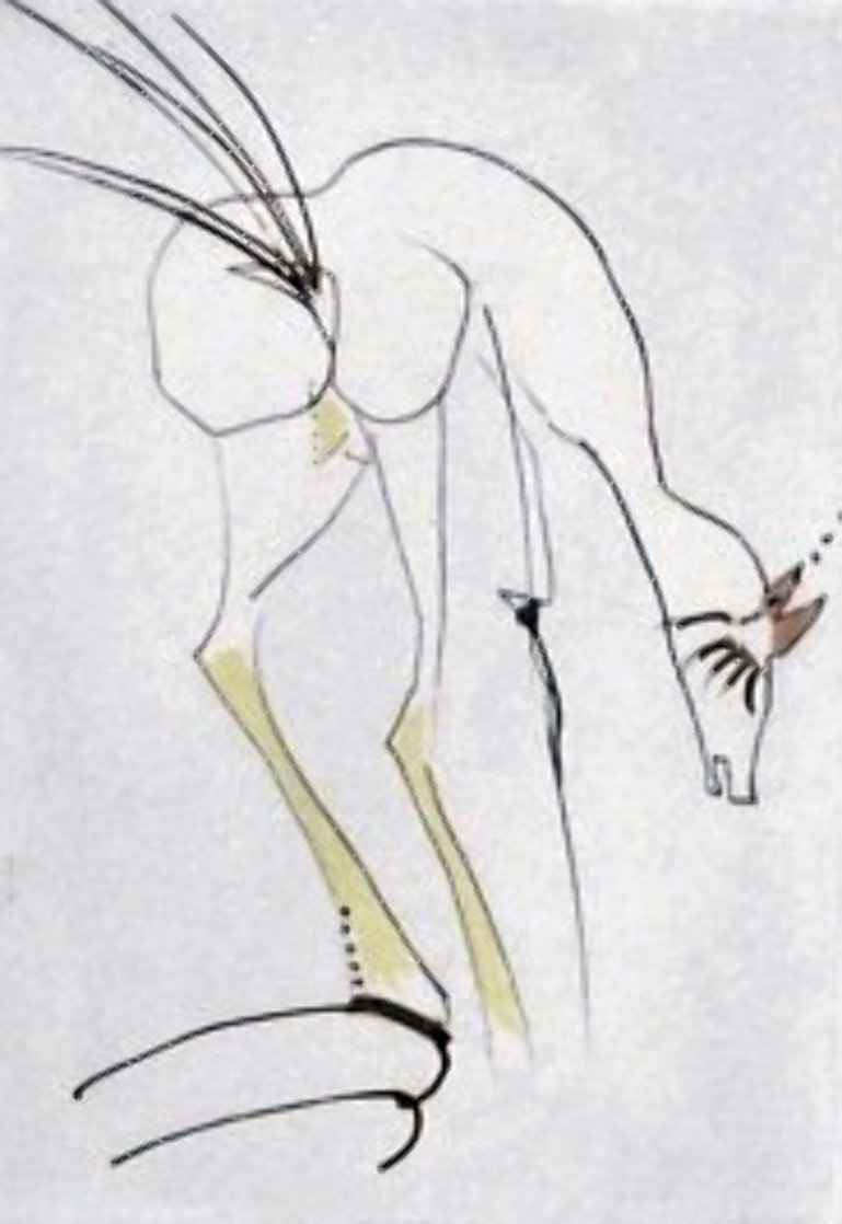 Faust Vignettes La Biche - The Dog 1969 (Early) Limited Edition Print by Salvador Dali Faust Vignettes La Biche - The Dog 1969 (Early) Limited Edition Print by Salvador Dali