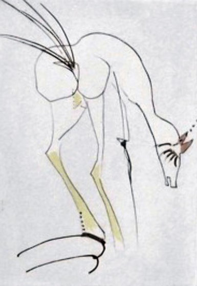 Faust Vignettes La Biche - The Dog 1969 (Early) Limited Edition Print by Salvador Dali Faust Vignettes La Biche - The Dog 1969 (Early) Limited Edition Print by Salvador Dali