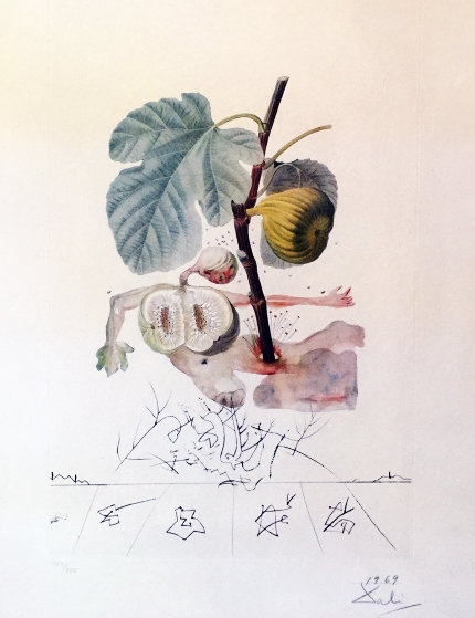 FlorDali, Les Fruits Homme Figuier, Fig 1969 (Early) Limited Edition Print by Salvador Dali FlorDali, Les Fruits Homme Figuier, Fig 1969 (Early) Limited Edition Print by Salvador Dali