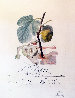 FlorDali, Les Fruits Homme Figuier, Fig 1969 (Early) Limited Edition Print by Salvador Dali - 0 FlorDali, Les Fruits Homme Figuier, Fig 1969 (Early) Limited Edition Print by Salvador Dali - 0
