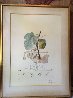 FlorDali, Les Fruits Homme Figuier, Fig 1969 (Early) Limited Edition Print by Salvador Dali - 5 FlorDali, Les Fruits Homme Figuier, Fig 1969 (Early) Limited Edition Print by Salvador Dali - 5