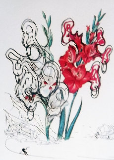 Pirates Gladioli 1972 Limited Edition Print - Salvador Dali Pirates Gladioli 1972 Limited Edition Print - Salvador Dali