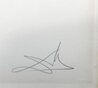 Historia De Don Quixote De La Mancha: Impossible Dream 1980 Limited Edition Print by Salvador Dali - 2 Historia De Don Quixote De La Mancha: Impossible Dream 1980 Limited Edition Print by Salvador Dali - 2
