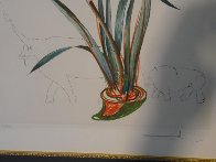 Florals Suite Stock (Rhino Horns) 1972 Limited Edition Print by Salvador Dali - 3 Florals Suite Stock (Rhino Horns) 1972 Limited Edition Print by Salvador Dali - 3