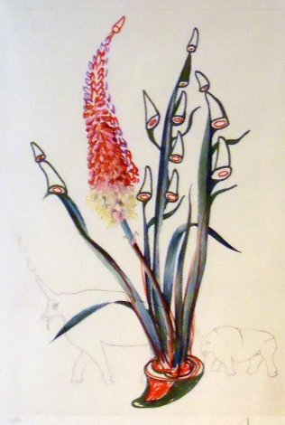 Florals Suite Stock (Rhino Horns) 1972 Limited Edition Print - Salvador Dali