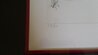 Floral Suite Roses  1972 - Blue Chip - HS Limited Edition Print by Salvador Dali - 3