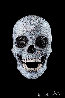 3-D Skull 2012 Limited Edition Print by Damien Hirst - 0