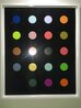Methylamine 13C 2014 HS Other by Damien Hirst - 1 Methylamine 13C 2014 HS Other by Damien Hirst - 1