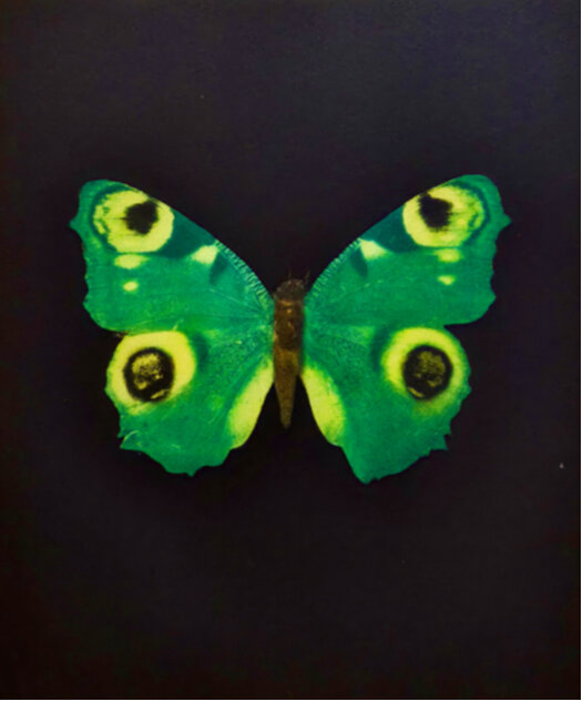 Damien Hirst, Forever (Large), 2020 by Damien Hirst - For Sale on
