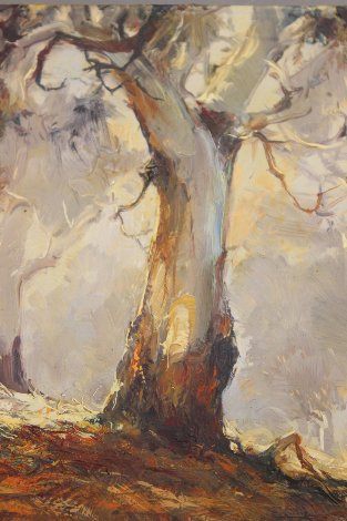 Ghost Gums 1972 15x12 Original Painting - d'Arcy Doyle