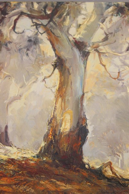 Ghost Gums 1972 15x12 Original Painting by d'Arcy Doyle