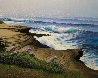 Lifting Fog - La Jolla Cliffs 24x30 San Diego Original Painting by David Dalton - 1