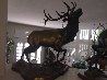 By Dawn's Early Light - 1/4 Life Size Elk Bronze Sculpture 1998 32 in Sculpture by David Anderson - 1