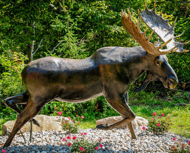 Ditch Creek Two-Step - 1/4 Life Size Moose Bronze Sculpture 2003 36 in Sculpture by David Anderson