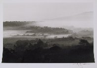 Vineyards 1992 Photography by David Hamilton - 1 Vineyards 1992 Photography by David Hamilton - 1