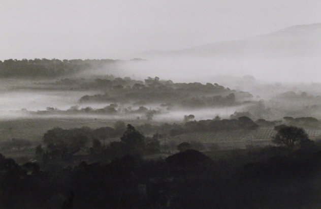 Vineyards 1992 Photography by David Hamilton