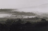 Vineyards 1992 Photography by David Hamilton - 0