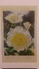 Rose Garden At the Huntington 2000 Limited Edition Print by Brian Davis - 1
