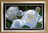 White Rose Garden 2005 Limited Edition Print by Brian Davis - 1