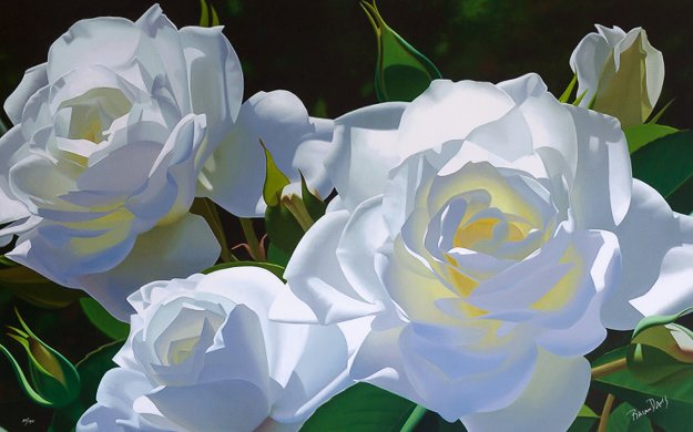 White Rose Garden 2005 by Brian Davis - For Sale on Art Brokerage