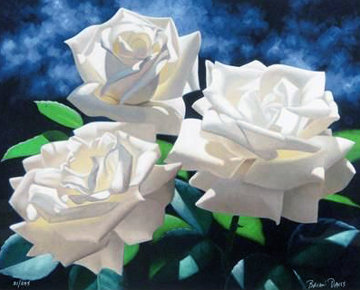 White Roses Limited Edition Print - Brian Davis White Roses Limited Edition Print - Brian Davis