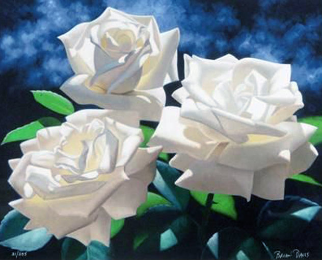 White Roses Limited Edition Print by Brian Davis
